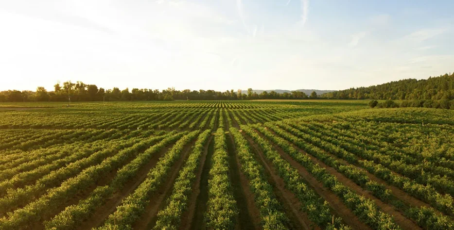 Efficient transportation solutions for commercial food businesses.