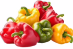 Fresh bell peppers for wholesale produce suppliers