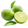 Fresh limes for wholesale fruit distribution