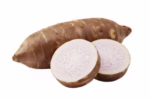 Premium Malanga for wholesale produce supply