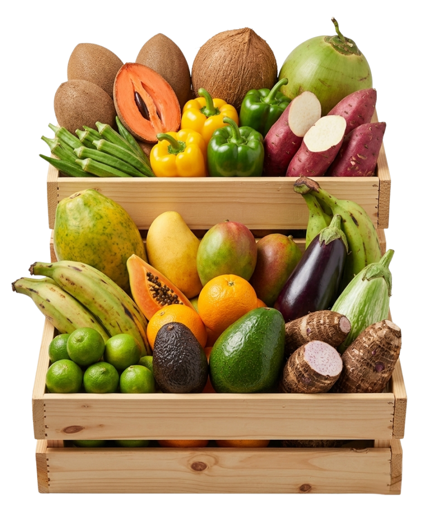 Wholesale fruits and vegetables distribution services
