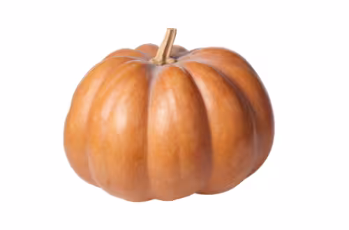Fresh pumpkin available for produce distribution