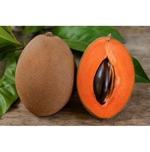Mamey