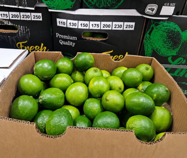 LIME 110