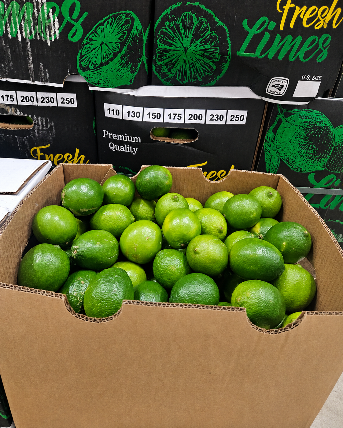 LIME 110