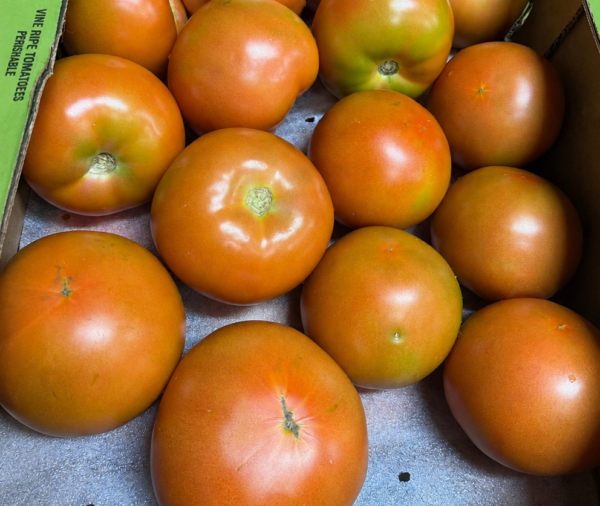 SALAD TOMATOES