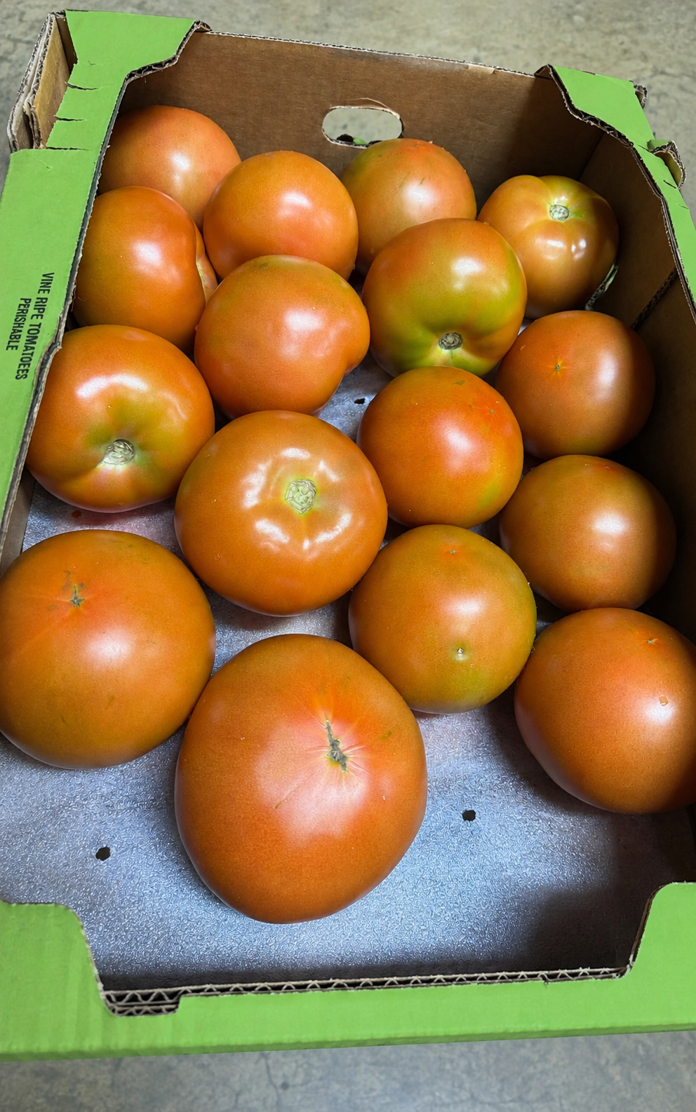 SALAD TOMATOES
