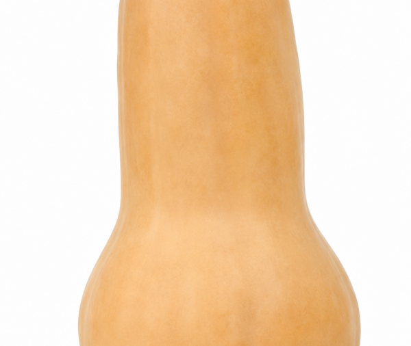 Pumkin(CALABAZA CUBANA)