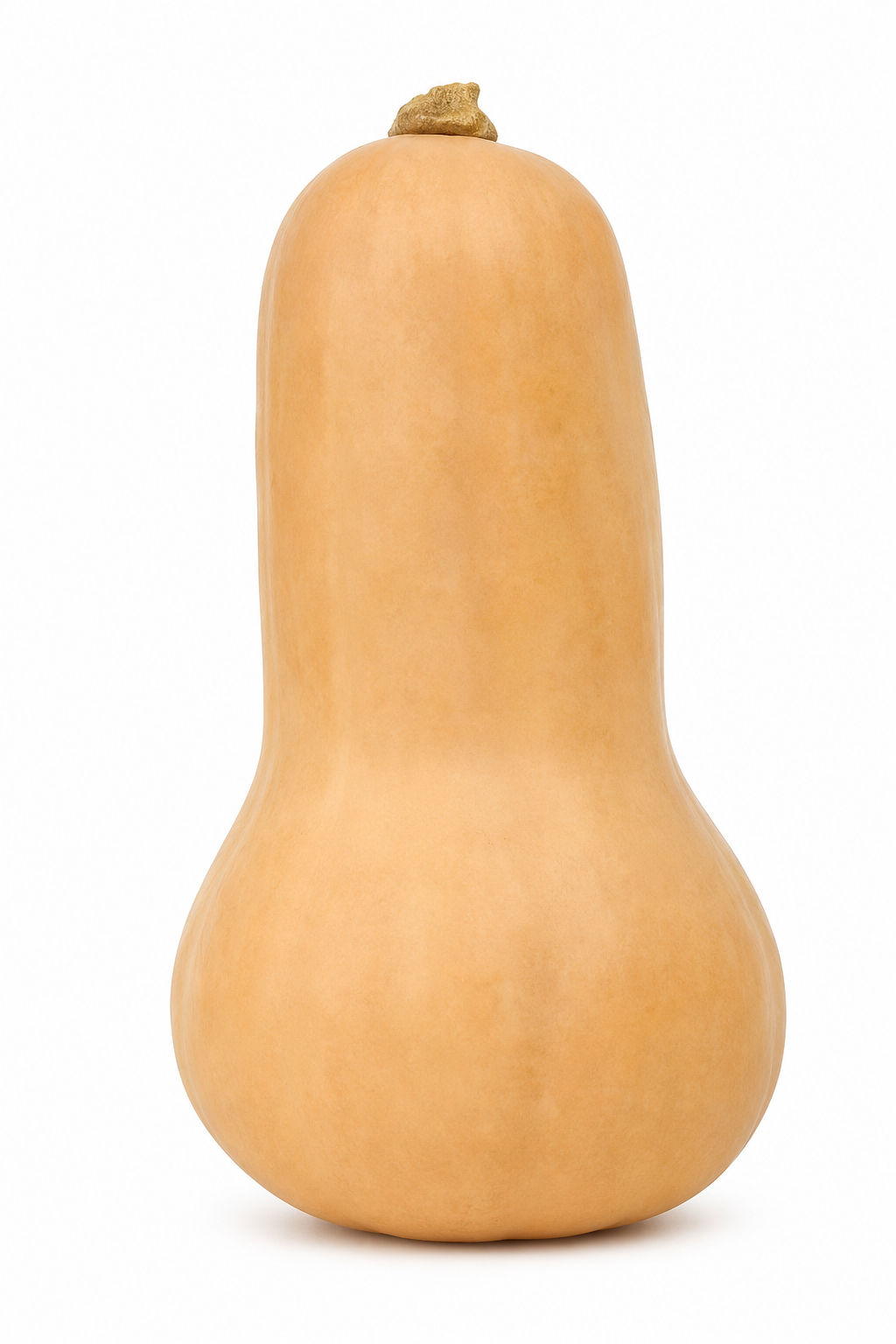 Pumkin(CALABAZA CUBANA)