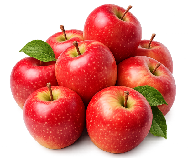 GALA APPLE