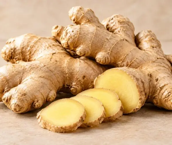 GINGER